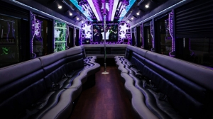 Embark on a Luxurious Journey: Discover the Oakville to Toronto Bus Experience